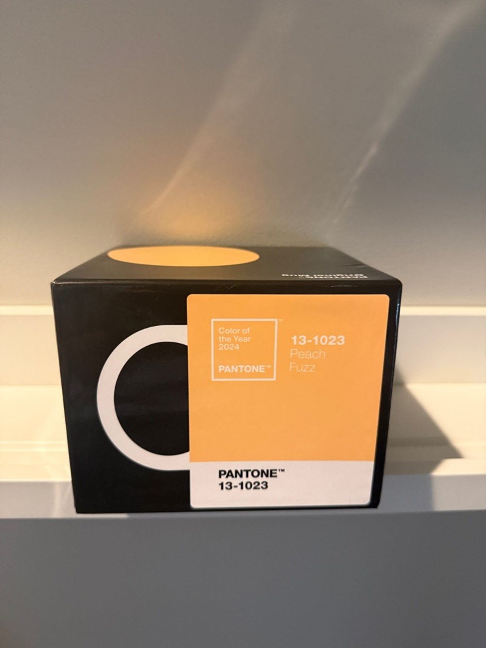 Pantone Color of the Year 2024 - Peach Fuzz Mug